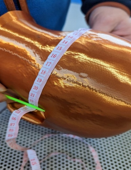 Figure 37 Tape measurements of distance between ears (photograph taken by Mark Warren)